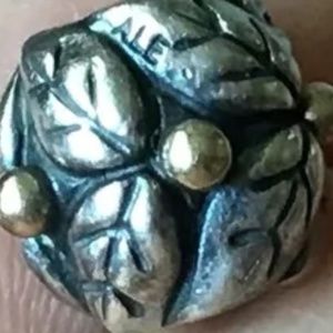 Pandora two tone charm